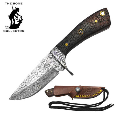 6.5" Damascus Blade Bone Collector Etched Rosewood Handle Skinner Knife With Leather Sheath & Rope Lanyard